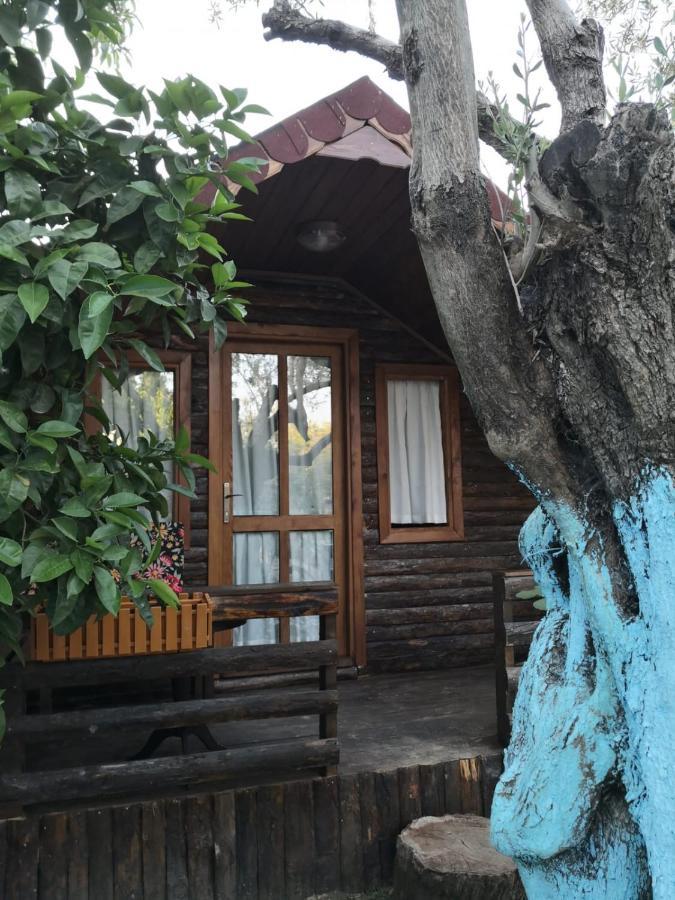 Zeytindagi Bungalow Mehmetalani Exterior photo