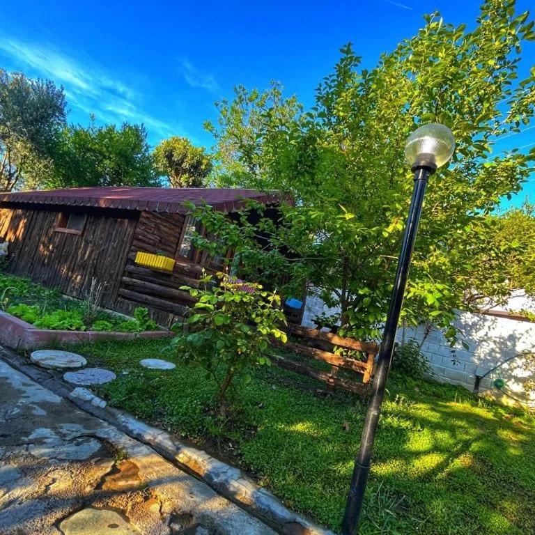 Zeytindagi Bungalow Mehmetalani Exterior photo